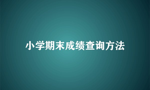 小学期末成绩查询方法