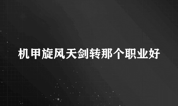 机甲旋风天剑转那个职业好