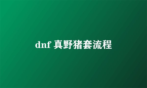 dnf 真野猪套流程