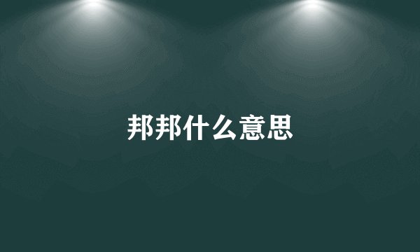 邦邦什么意思