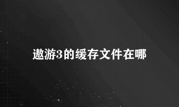 遨游3的缓存文件在哪