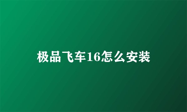 极品飞车16怎么安装