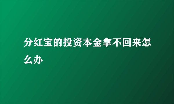 分红宝的投资本金拿不回来怎么办