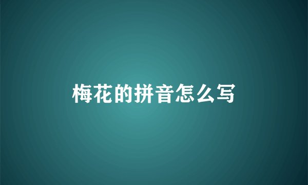 梅花的拼音怎么写