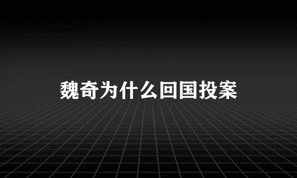 魏奇为什么回国投案