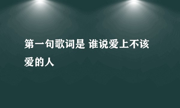 第一句歌词是 谁说爱上不该爱的人