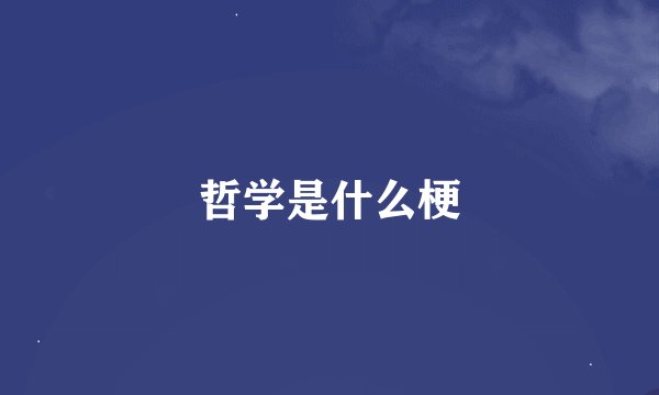哲学是什么梗