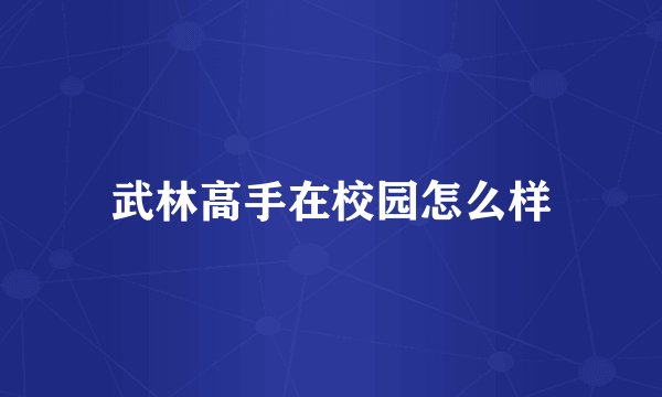 武林高手在校园怎么样
