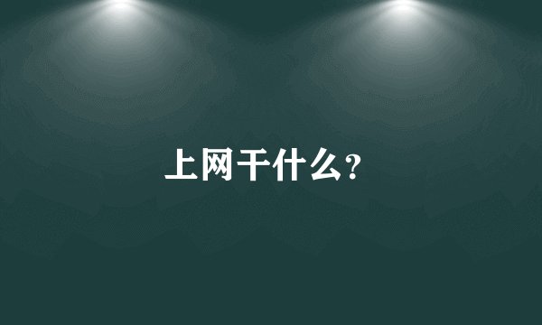 上网干什么？