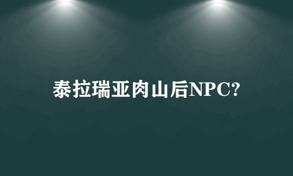 泰拉瑞亚肉山后NPC?