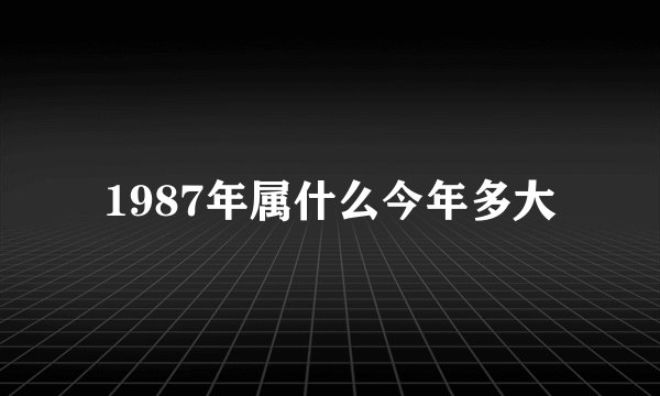 1987年属什么今年多大