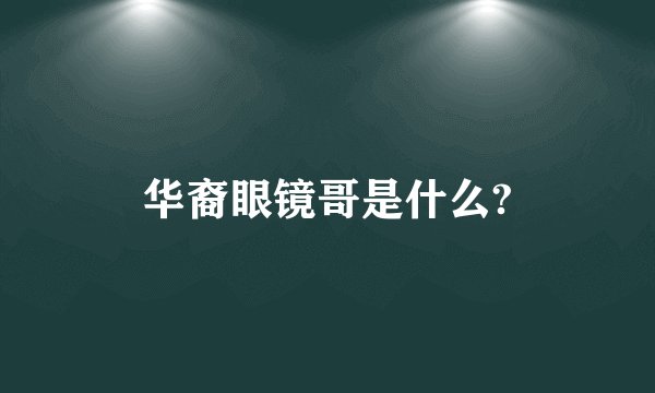 华裔眼镜哥是什么?