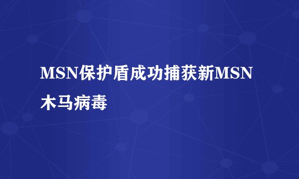 MSN保护盾成功捕获新MSN木马病毒