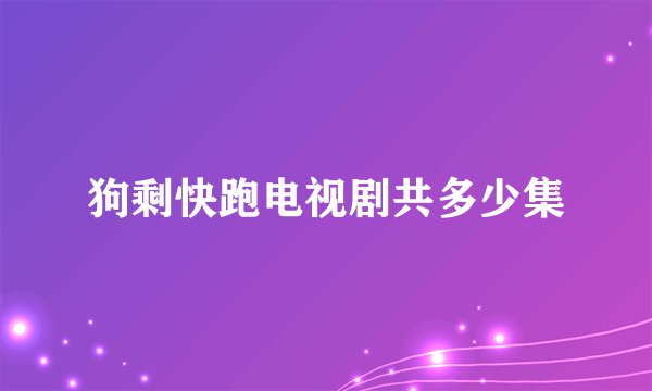 狗剩快跑电视剧共多少集