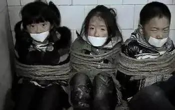 人大代表张宝艳建议买方行为应视同绑架十年起刑,你支持这一建议吗?