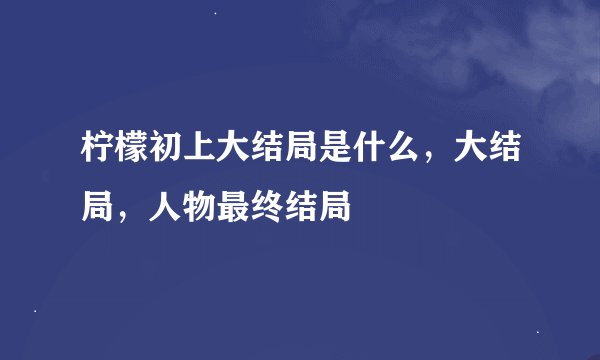 柠檬初上大结局是什么，大结局，人物最终结局