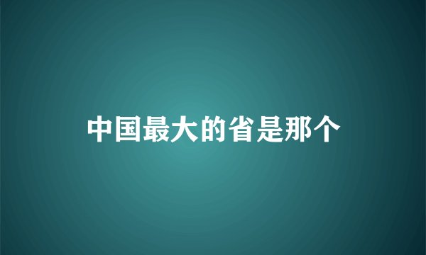 中国最大的省是那个