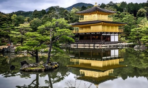 樱花国际日语学校地址