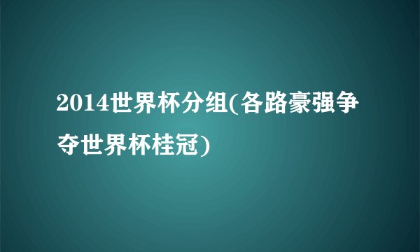 2014世界杯分组(各路豪强争夺世界杯桂冠)