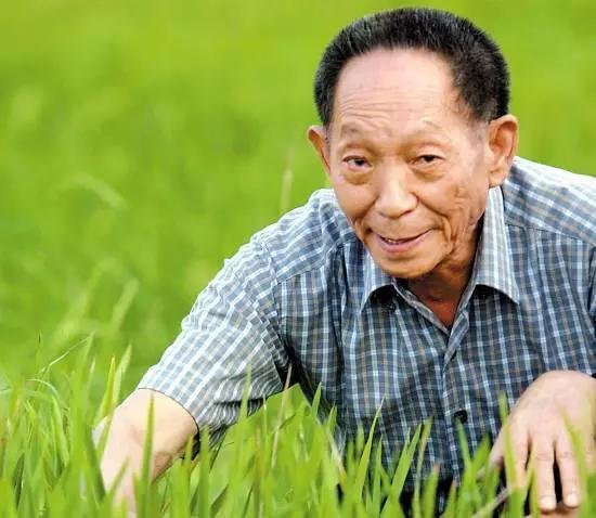 求一篇袁隆平简介不多于100字!!