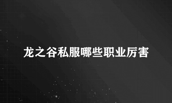龙之谷私服哪些职业厉害