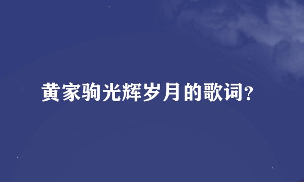 黄家驹光辉岁月的歌词?