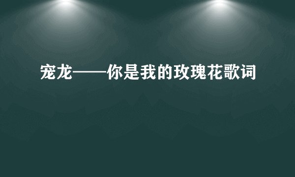 宠龙——你是我的玫瑰花歌词