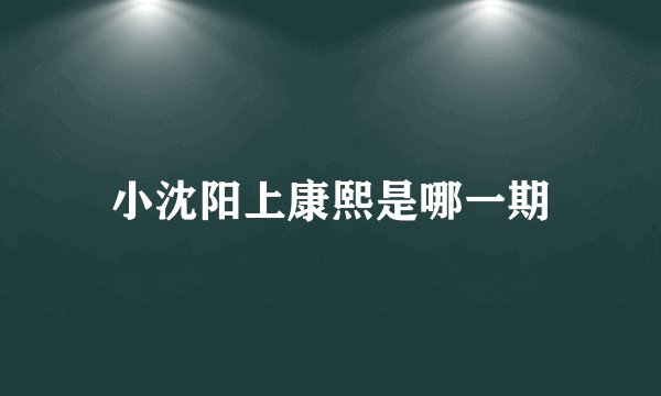 小沈阳上康熙是哪一期