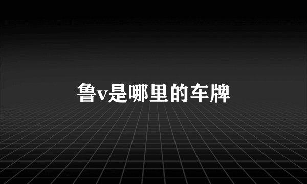 鲁v是哪里的车牌