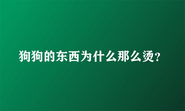 狗狗的东西为什么那么烫？