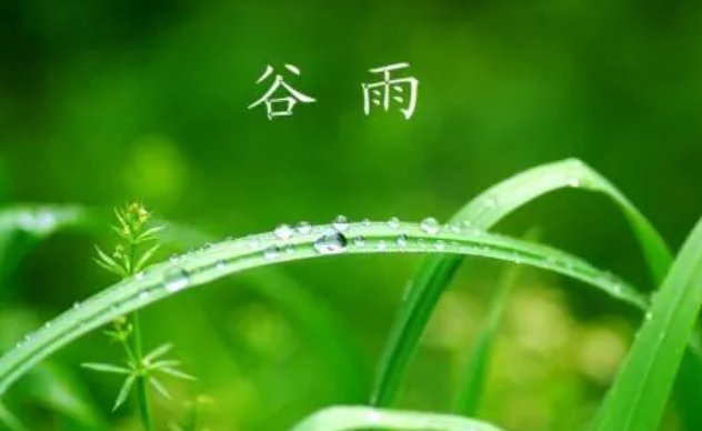 谷雨过后再无寒,人间芳菲已向暖是什么意思？