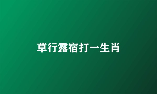 草行露宿打一生肖