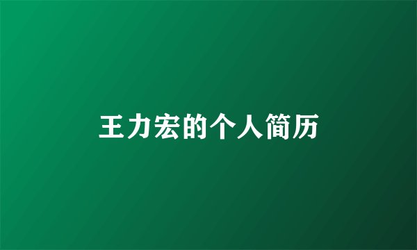 王力宏的个人简历