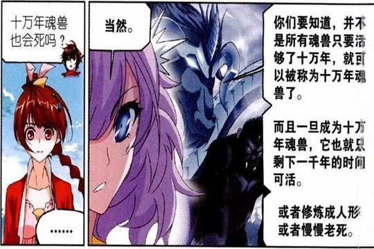 小舞没能突破“魂兽法则”，她为什么变成了“人类”？