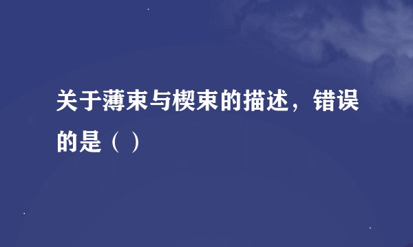 关于薄束与楔束的描述，错误的是（）