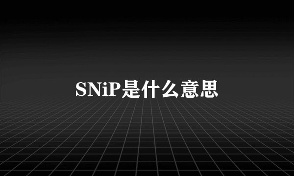 SNiP是什么意思