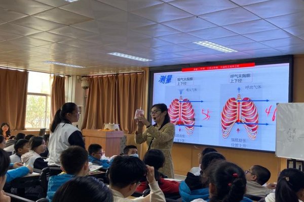 a衰变和b衰变的本质
