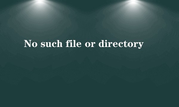 No such file or directory