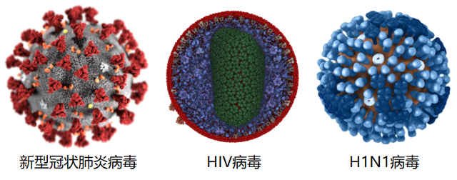 新冠在艾滋患者体内突变30次，这两种病毒在一起会不会产生新的病毒