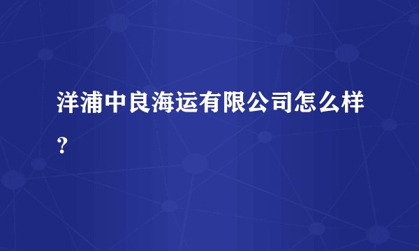 洋浦中良海运有限公司怎么样？