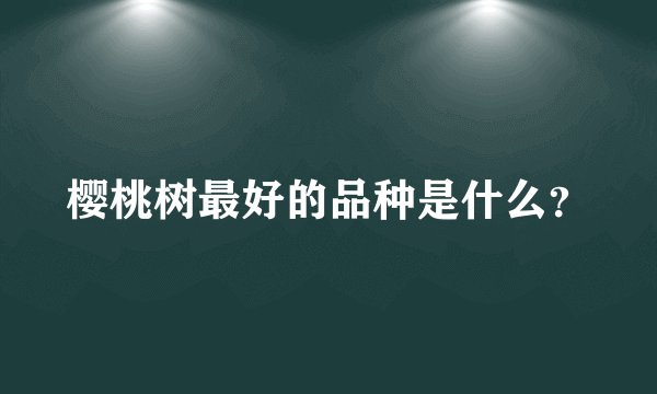 樱桃树最好的品种是什么？