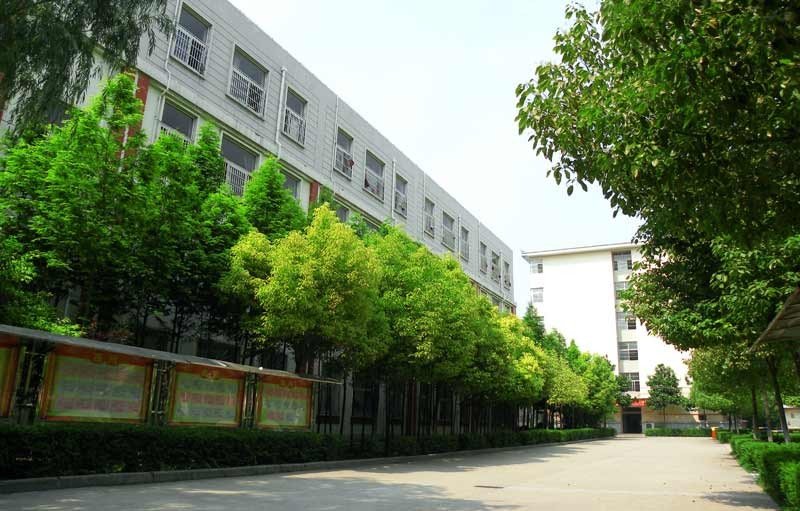 平邑高中学校哪家强？