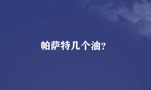 帕萨特几个油？
