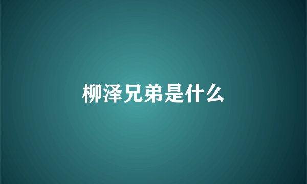 柳泽兄弟是什么