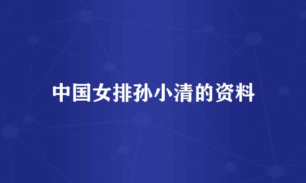 中国女排孙小清的资料
