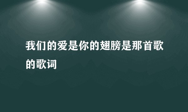 我们的爱是你的翅膀是那首歌的歌词