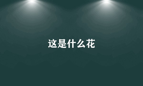 这是什么花