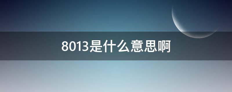 8013是什么意思啊