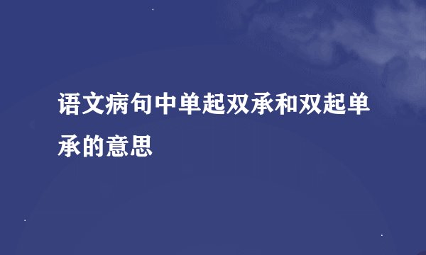 语文病句中单起双承和双起单承的意思