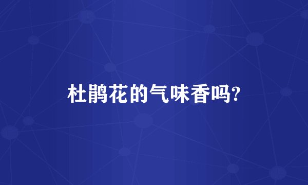 杜鹃花的气味香吗?